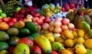 三亚热带水果 三亚热带水果基地