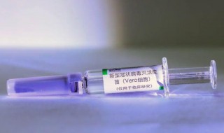 新冠疫苗能管多长时间 新冠疫苗能管多长时间没抗体了又要打吗?