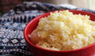 代替米饭的低糖主食 代替米饭的低糖主食糙米