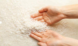 糙米是什么 糙米是什么米?