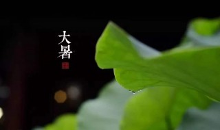 小暑和大暑是什么意思（小暑大暑是什么意思,小暑大暑的含義）