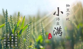 小滿節(jié)氣的含義（小滿節(jié)氣的含義是什么芒種）