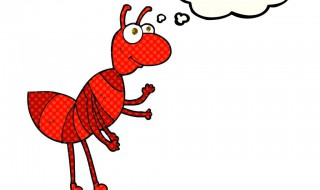 怎么消灭蚂蚁 楼上怎么会有蚂蚁怎么消灭蚂蚁