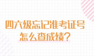 四级忘记准考证号怎么查成绩（四级考试忘了准考证号怎么查询成绩）