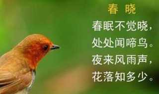 春眠不覺(jué)曉的曉是什么意思（春眠不覺(jué)曉的曉是什么意思 孟浩然）