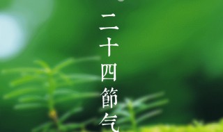 春雨驚春清谷天夏滿芒夏暑相連是什么歌 這首歌有什么意義