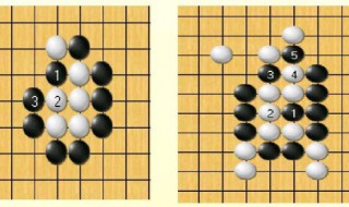 初學者怎樣下圍棋（初學者怎樣下圍棋圖解）