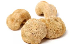 猴头菇的功效 猴头菇的功效作用与主治