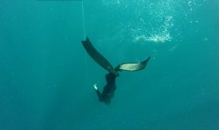 自由潜水呼吸技巧 自由潜水呼吸技巧有哪些