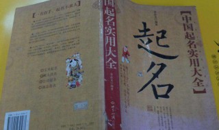 中国起名实用大全 中国起名实用大全 金志文