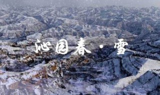 沁园春雪原文翻译赏析（沁园春雪全篇翻译）