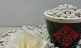 大小白蕓豆?fàn)I養(yǎng)價(jià)值一樣嗎（大白蕓豆和小白蕓豆那個(gè)減脂效果好）