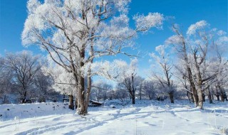 關(guān)于下雪的句子（關(guān)于下雪的句子一年級）