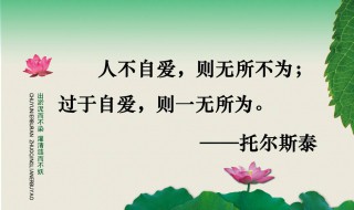 关于生活的格言（关于生活的格言短句）