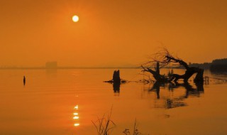 几度夕阳红歌词 几度夕阳红歌词 琼瑶