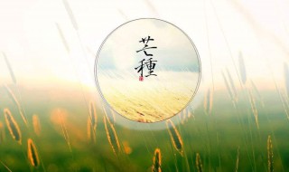 6月5日是什么日子（每年的6月5日是什么日子）