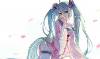 初音未来的资料 初音未来的资料个人资料