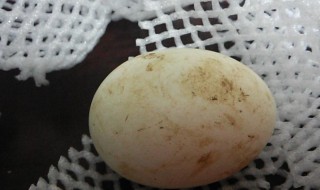 鹅蛋上有粪便怎么储存 一天一个鹅蛋连吃5天