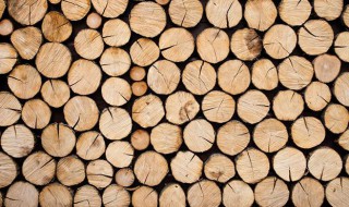 木材怎么储藏 木材怎么储藏不会坏