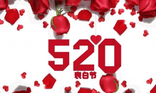 520表白的精选话（520表白语句汇总）