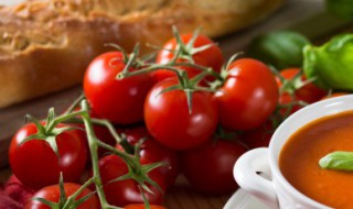 玲珑小番茄可以放冰箱吗 玲珑小番茄多少钱一斤