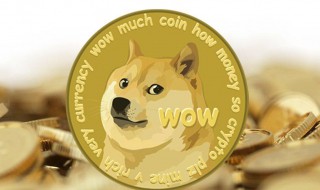 doge是什么币种（dogecoin是什么币种）