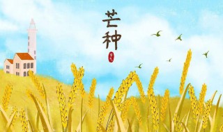 2021年芒种是第九个节气吗（2021年芒种第九天是几月几日）