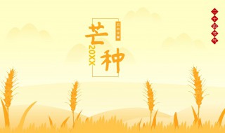 2021年芒种节气的内涵（芒种节气含义）