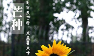 雨量充沛的节气 雨量充沛的节气是什么