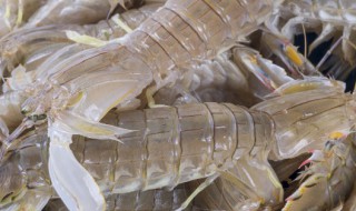 海龙虾怎么做好吃 海龙虾怎么做好吃又简单视频