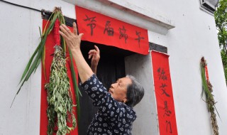 端午节门口挂艾草什么意思（端午节门上挂艾草寓意端午节挂艾草图片）