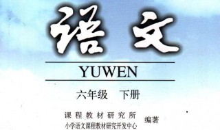 六年級(jí)語(yǔ)文工作總結(jié)范文（六年級(jí)語(yǔ)文工作總結(jié)范文簡(jiǎn)短）