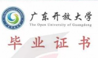 大專與本科學(xué)歷有什么區(qū)別（大專與本科學(xué)歷有什么區(qū)別嗎）