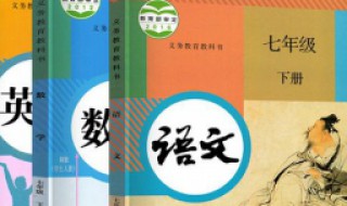 七年级语文教学工作总结范文 七年级语文教学工作总结2020