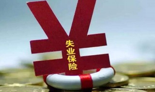 失業(yè)保險(xiǎn)金跟失業(yè)補(bǔ)助金有什么區(qū)別（失業(yè)保險(xiǎn)金和失業(yè)補(bǔ)助金一樣嗎）