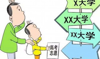 填志愿是怎么填的 上海中考填志愿是怎么填的