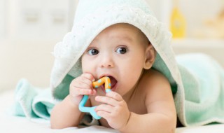 八个月宝宝辅食 八个月宝宝辅食可以加盐吗?