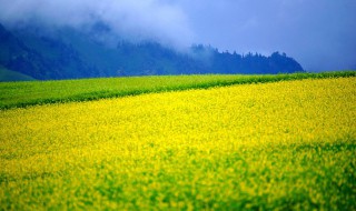 八月是什么季节（二四八月是什么季节）