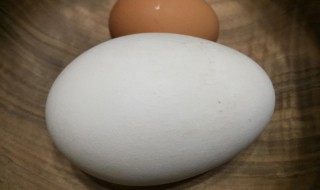 孕妇可以吃鹅蛋吗 孕妇可以吃鹅蛋吗对胎儿好吗