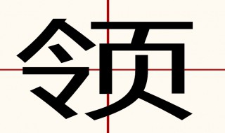 領(lǐng)的部首是什么偏旁（領(lǐng)的部首是什么偏旁結(jié)構(gòu)組詞）