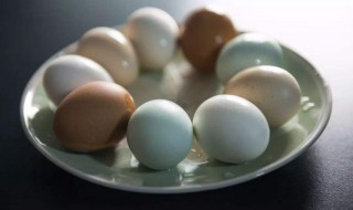 鸭蛋和鸡蛋什么营养 鸭蛋和鸡蛋什么营养价值最高