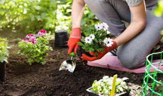简述土壤养护的主要方法 简述土壤养护的主要方法有哪些