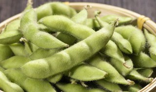 大豆怎么做好吃 肥肠大豆怎么做好吃