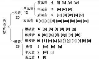 英语中不同音素是什么意思（不同音素的字母）