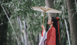 山外小樓夜聽雨歌詞（山外小樓夜聽雨歌詞歌詞是什么意思）