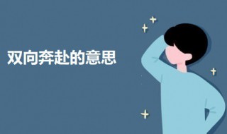 双向奔赴是什么意思（爱的双向奔赴是什么意思）