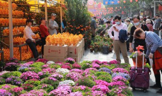 花卉水培和水养的区别（花卉水培和水养的区别是什么）