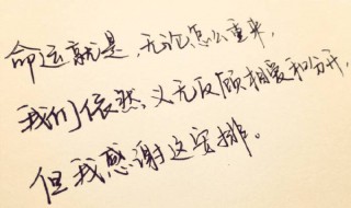 溫暖的話語(yǔ) 溫暖的話語(yǔ)作文800字