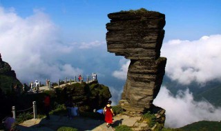 梵净山旅游景点介绍（梵净山旅游景点介绍资料）