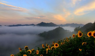 清晨日出說(shuō)說(shuō)心情優(yōu)美句子（清晨日出說(shuō)說(shuō)心情優(yōu)美句子簡(jiǎn)短）